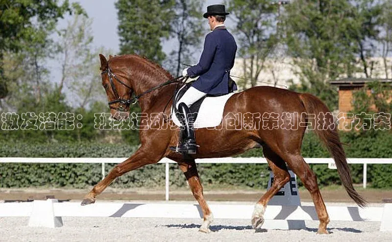 k8凯发官网登录入口