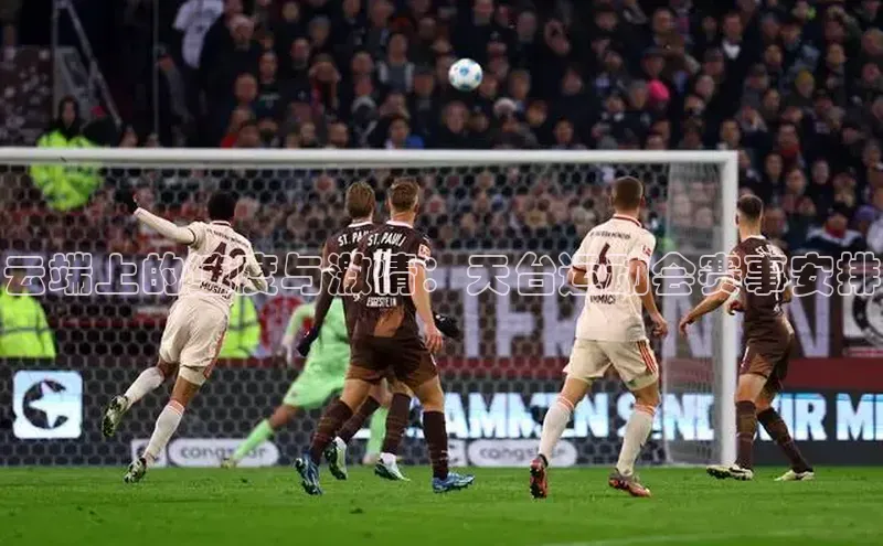 凯发K8官网首页登录