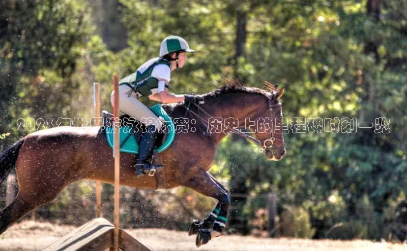 凯发app官网入口